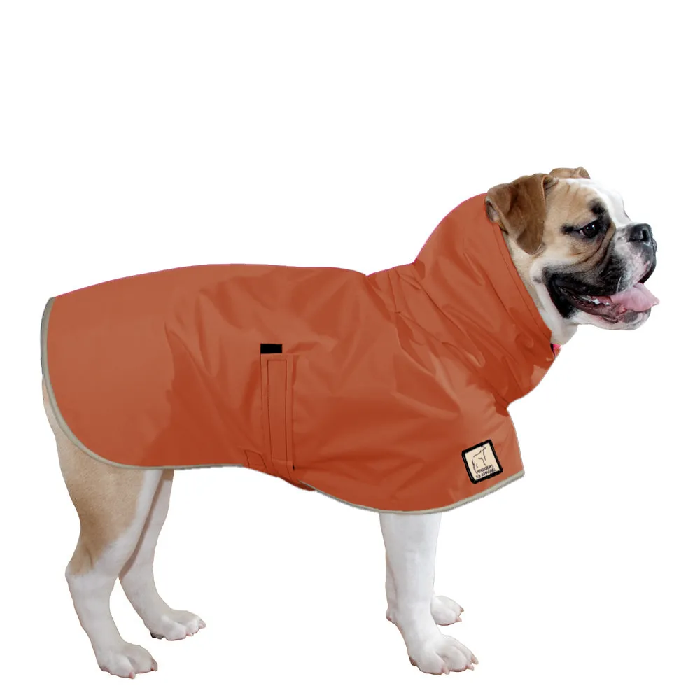 English Bulldog Raincoat