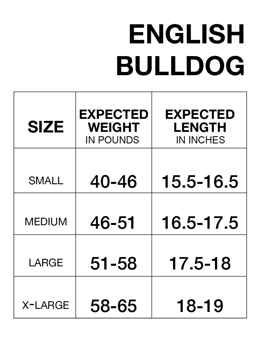 English Bulldog Winter Coat