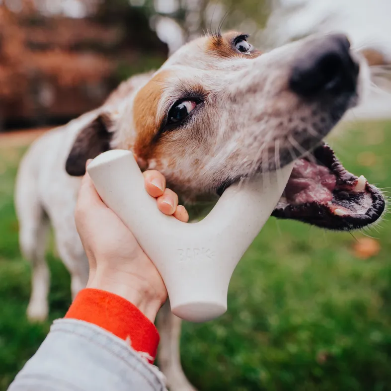 Plucky Wishbone